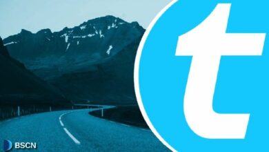 متى سيطلق شبكة تيلكوين شبكتها الرئيسية؟ شرح الحالة الحالية وخارطة الطريق
