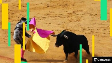 بتكوين يتجاوز حاجز 95 ألف دولار وإيثريوم وسولانا وكاردانو تقفز 8% بفعم تفاؤل المستثمرين