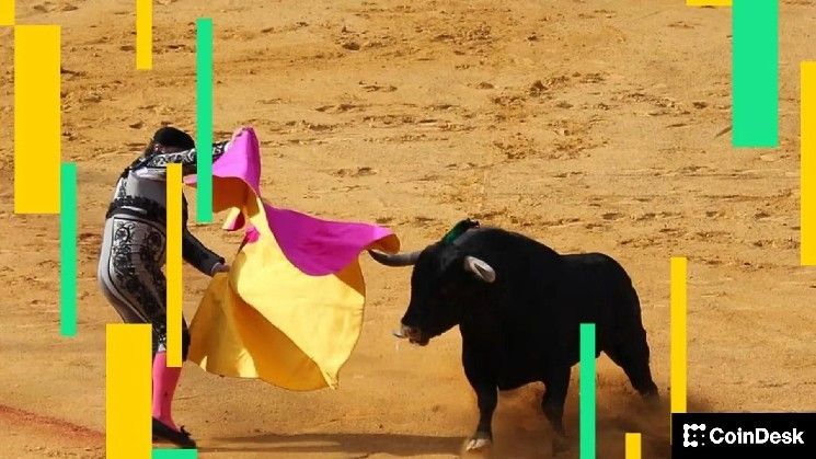 بتكوين يتجاوز حاجز 95 ألف دولار وإيثريوم وسولانا وكاردانو تقفز 8% بفعم تفاؤل المستثمرين