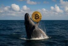 حوت بيتكوين خامد يستيقظ بعد 13 عامًا وينقل 909 عملة بيتكوين