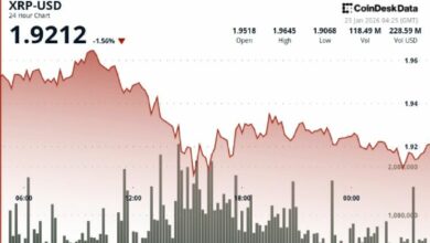 انخفاض سعر XRP إلى 1.93 دولار رغم بوادر الانتعاش الفني المبكر