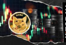 11 مليار شيبا إينو تتحرك خلال 24 ساعة.. ما السبب؟