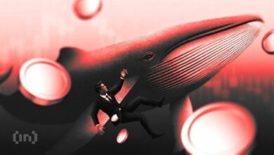 هل اشترى حيتان Axie Infinity (AXS) في مرحلة تصحيح بعد ارتفاع 41%؟