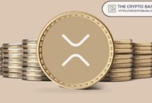 ما الكمية المناسبة من XRP للاحتفاظ بها؟ مهندس XRPL يوضح