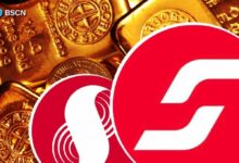 ما هي الأصول المتكاملة (iAssets)؟ شرح التصفيف السائل من سوبرا