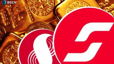 ما هي الأصول المتكاملة (iAssets)؟ شرح التصفيف السائل من سوبرا