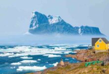 مراهن بمبلغ 100 ألف دولار على بوليماركت: ترامب سيشتري غرينلاند