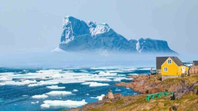 مراهن بمبلغ 100 ألف دولار على بوليماركت: ترامب سيشتري غرينلاند