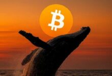 حوت بيتكوين يحقق مكاسب بقيمة 50 مليون دولار من صفقات الشراء الطويلة على BTC وETH وSOL