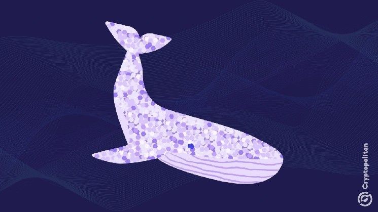 حوت يبتلع 7 ملايين دولار من XAUT وسط تحركات السوق