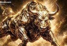 "رئيس ريبل يتوقع وصول العملات الرقمية إلى قمم تاريخية جديدة: 'أنا متفائل للغاية'"