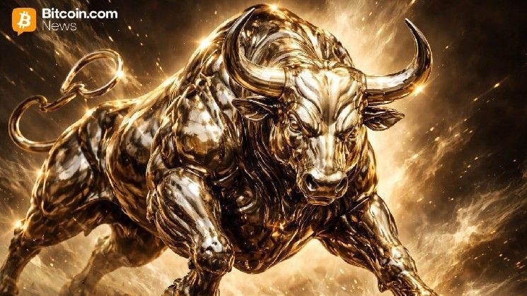 "رئيس ريبل يتوقع وصول العملات الرقمية إلى قمم تاريخية جديدة: 'أنا متفائل للغاية'"