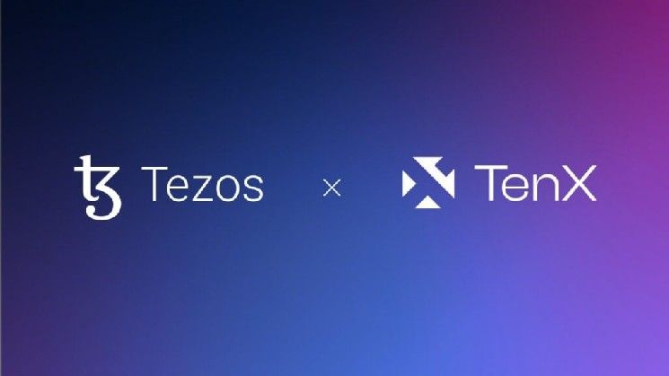 تين إكس تستحوذ على 5.5 مليون عملة تيزوس كجزء من شراكة ستايكينج استراتيجية مع مؤسسة تيزوس