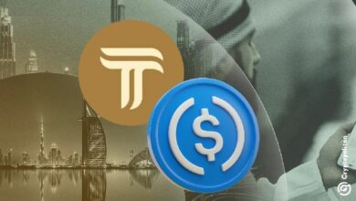 ثروة تدمج عملتها المستقرة ث يو إس دي في سلسلة ريال فاينانس للتمويل اللامركزي