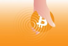 معركة بوتات ميمبول على البيتكوين المخترق