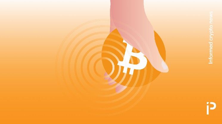 معركة بوتات ميمبول على البيتكوين المخترق