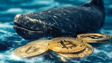 توقع سعر البيتكوين: قاعدة تكلفة الحيتان تتجاوز 120 مليار دولار بينما يهبط مؤشر القوة النسبية