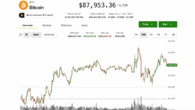 البيتكوين يتذبذب قرب 88 ألف دولار مع ظهور مؤشرات إنهاك لمسيرة الذهب والفضة القياسية