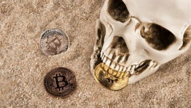 مؤسس صندوق مشهور للعملات الرقمية يتنبأ: "البيتكوين سينتهي خلال 7-11 عاماً" – وهذه الأسباب