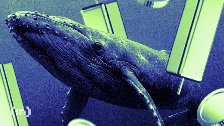 ماذا تشتيت حيتان العملات الرقمية لتحقيق مكاسب محتملة في فبراير 2026؟