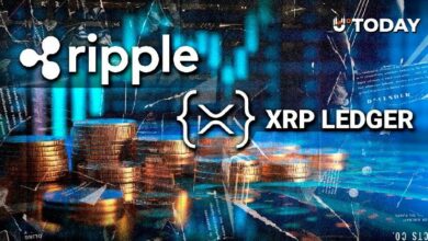 مطور XRP يكسر الصمت حول أكبر تحدٍ لشبكة XRPL