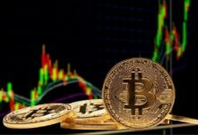 بيانات السلسلة تُظهر وصول الاهتمام المفتوح لخيارات البيتكوين إلى ذروة قياسية عند 74.1 مليار دولار