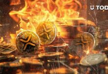 مؤشر حرق XRP يسجل ارتفاعًا حادًا مع اقتراب نهاية التراجع السعري الممتد
