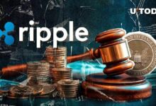 الديمقراطيون ينتقدون هيئة الأوراق المالية الأمريكية لسحب دعوى Ripple
