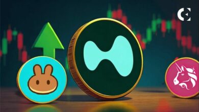 حجم التداول في البورصات اللامركزية يسجل أعلى مستوى في تاريخه رغم تراجع أسعار العملات الرقمية