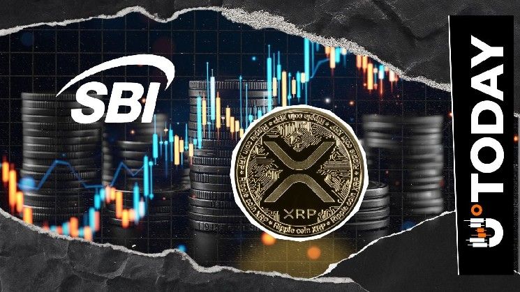 عملاق التداول SBI VC يبدأ إقراض عملات XRP وSHIB وBTC: إليك القائمة الكاملة للعملات المشمولة