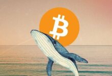 صعوبة تعدين البيتكوين تشهد انخفاضاً في أول تعديل لعام 2026