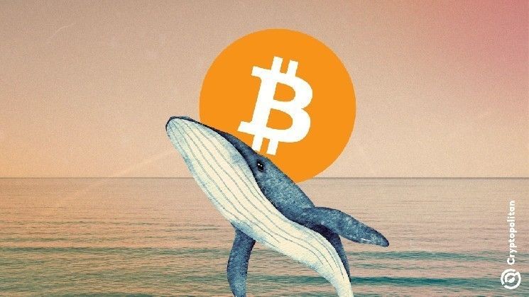 صعوبة تعدين البيتكوين تشهد انخفاضاً في أول تعديل لعام 2026