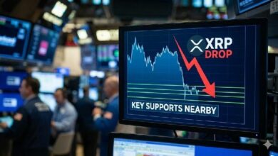 انهيار سعر XRP يتسارع — هل يستطيع مستوى الدعم امتصاص الصدمة؟