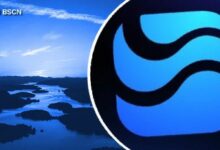 ريفر تشرح: العملة المستقرة المجردة من السلسلة