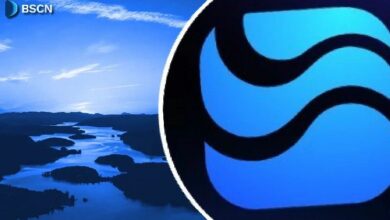 ريفر تشرح: العملة المستقرة المجردة من السلسلة