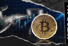 حيتان البيتكوين من عصر ساتوشي تبطئ من وتيرة البيع.. ما الذي يحدث؟