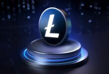 لماذا يعتبر وصول سعر اللايتكوين إلى ٢٠٠٠ دولار حقيقة رياضية وليس مجرد خيال