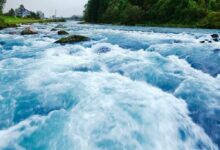 صناديق البيتكوين الأمريكية تتلقى تدفقات بقيمة 750 مليون دولار في أقوى يوم منذ أكتوبر