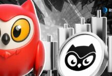 ما هو رمز BIRB الخاص بمون بيردز؟