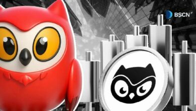 ما هو رمز BIRB الخاص بمون بيردز؟