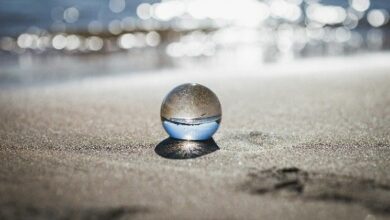 العملات الرقمية للمستشارين: تأثير البلوكتشين على الحكومات