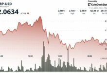 تراجع XRP 4% بفعل ضعف السوق رغم تدفقات صناديق الاستثمار القوية