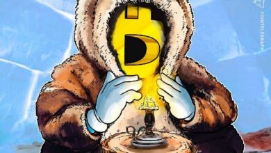 عمال مناجم البيتكوين يستعدون لعاصفة جليدية هائلة تتجه نحو جنوب الولايات المتحدة