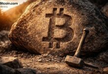 أكثر من 100 مليون أوردينال: بينما يخفت ضجيج النقوش، يصبح بيتكوين سلسلة NFT رائدة بصمت