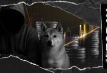 شيوتشي كوساما يشير إلى تحديث محتمل لمجتمع SHIB، ماذا نتوقع؟