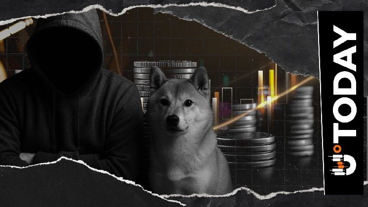 شيوتشي كوساما يشير إلى تحديث محتمل لمجتمع SHIB، ماذا نتوقع؟