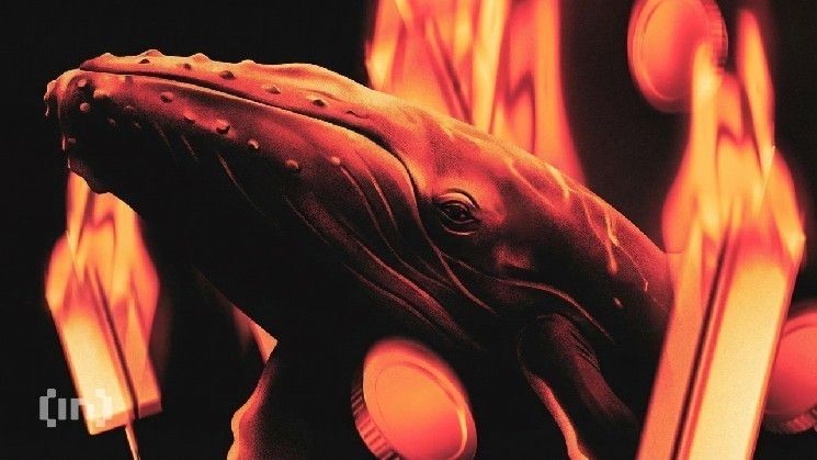 لماذا من غير المرجح موسم العملات البديلة في 2026؟