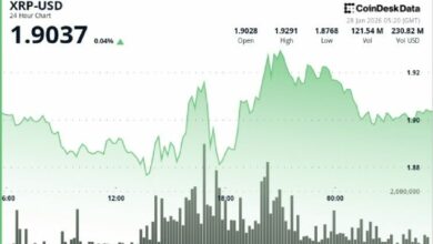 دوجكوين يتراجع بعد فشله في الحفاظ على مستوى 0.124 دولار