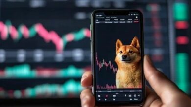 شيبا إينو تختبر مستوى دعم حاسمًا بينما يستهدف المضاربون صعودًا بنسبة 320%