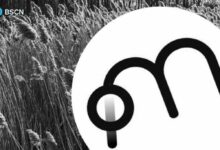 مولتيبلي فاي: تعزيز العائد على الأصول الرقمية المُرمزة